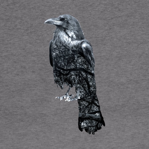 Double Exposure Crow & Tree Branches by SingeDesigns